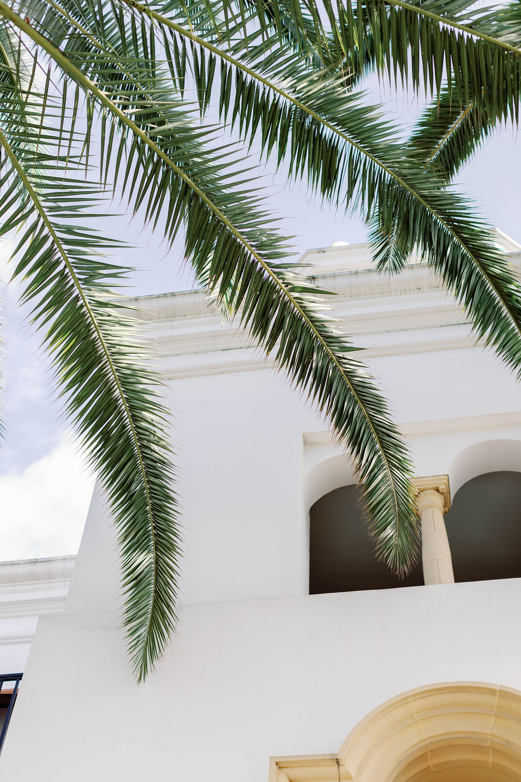 Palm fronds and a Spanish Colonial building at a Mission Santa Barbara wedding | Photo by Sarah Block of Sarah Block Photography