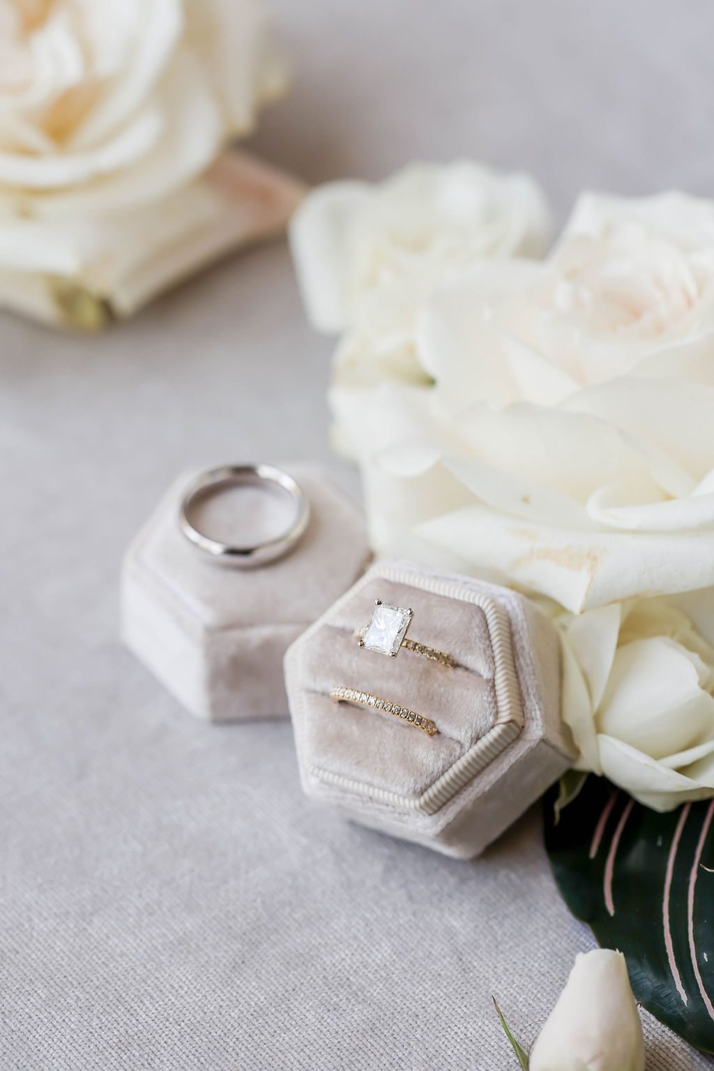Engagement ring and wedding ring inside a velvet ring box with groom's ring sitting on top of the cover. Surrounded by white roses. Photo by Sarah Block Photography.